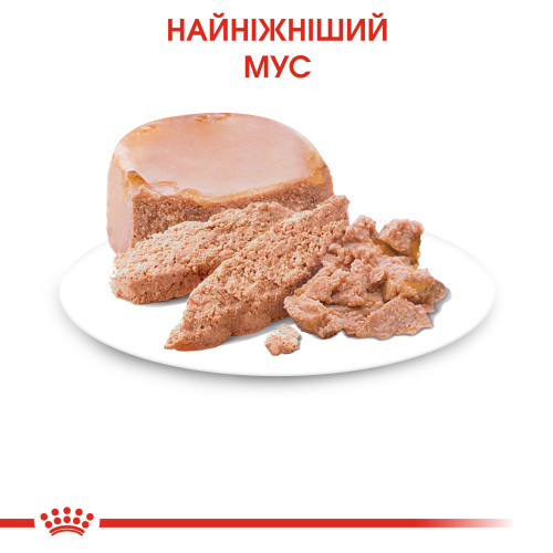 Вологий корм для новонароджених кошенят ROYAL CANIN MOTHER/BABYCAT Cans 195г